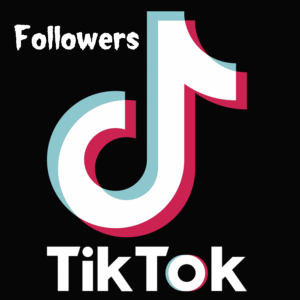 TikTok Followers